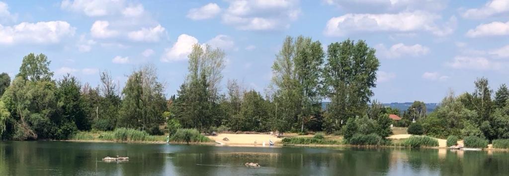 Wohnen-Auf-Zeit-Am-See Villa Großostheim Buitenkant foto